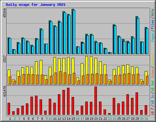 Daily usage for January 2021