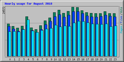 Hourly usage for August 2018