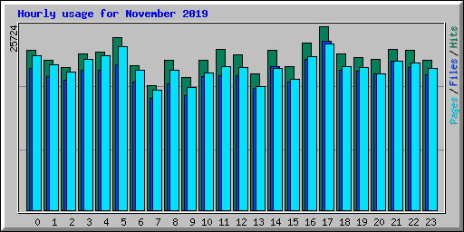 Hourly usage for November 2019