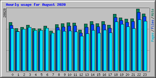 Hourly usage for August 2020