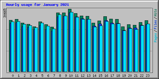 Hourly usage for January 2021