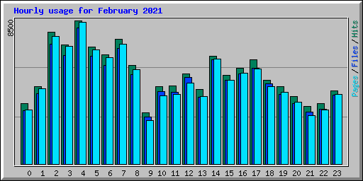 Hourly usage for February 2021